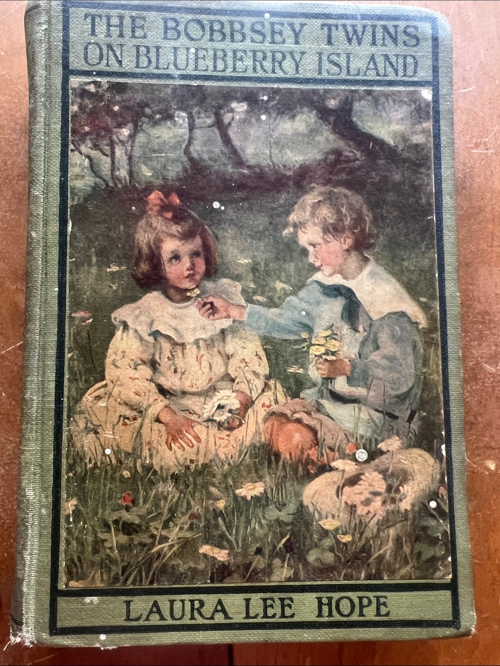 💚 The Bobbsey Twins on Blueberry Island